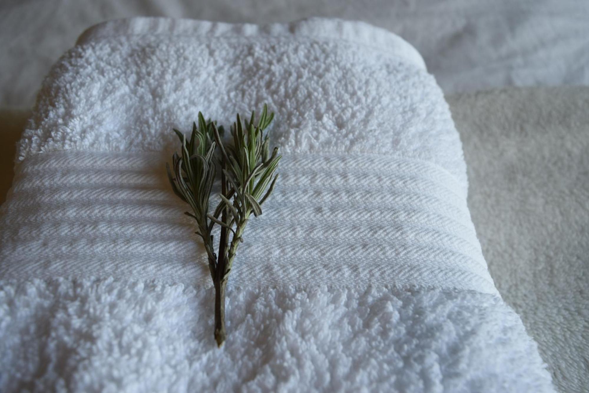 ダンガーバン Cedarblue Bed & Breakfast エクステリア 写真